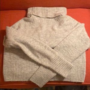 Aritzia Plutarch Sweater